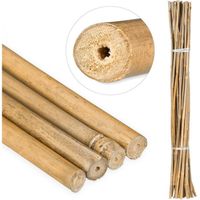 Suinga - Pack 100 x Tuteur en bambou naturel 100 cm, 10-12 mm. Bâtons de bambou écologiques pour soutenir les arbres, les plantes  