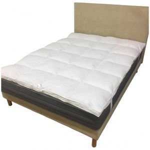 surmatelas plume 160 cdiscount