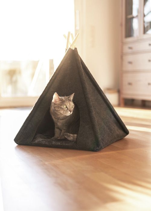 Meilleurs prix pour WENKO Tente Tipi pour animaux Chats et petits Chiens - Coussin amovible et lavable à 30°C - 4 Tiges en Bois - Feutre Anthracite