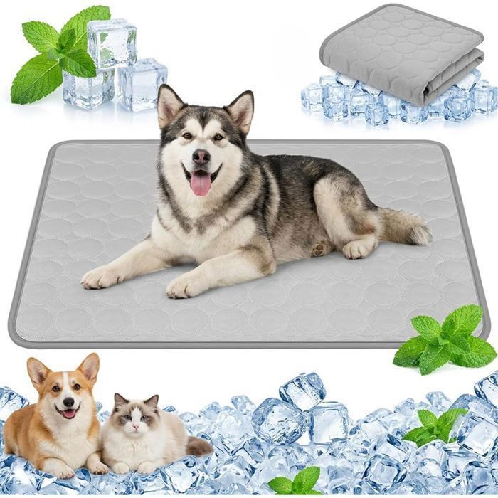 Tapis Rafraîchissant pour Chiens et Chats – Soie Glacée Respirant Non Toxique 55x70 cm