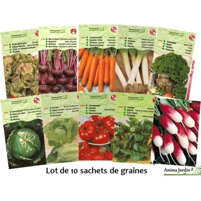 Lot de 5 sachets de graines à planter au potager jardin balcon 