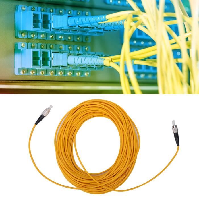 Câble Fibre Optique LoDan ESCON Vers ESCON 31 Mètres - 10800062