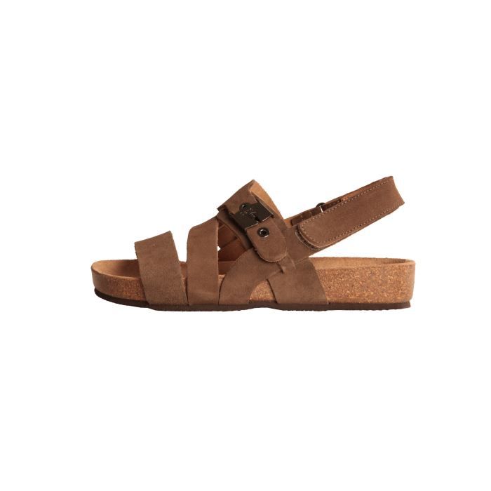 scholl chaussure homme