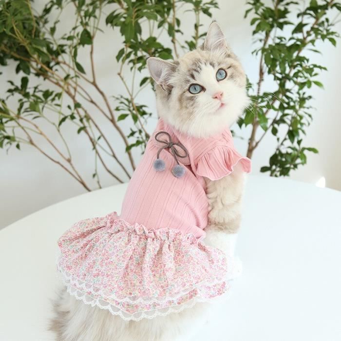 Robe pour chat hotsell