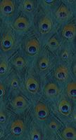 papier peint panoramique plumes de paon bleu canard - 150 x 279 cm - 357245