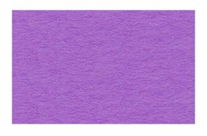 PAPIER A DESSIN Papier a dessin Ursus - 2174661 - Lot de 100 feuilles de papier cartonne Violet Format A4 130 g/m