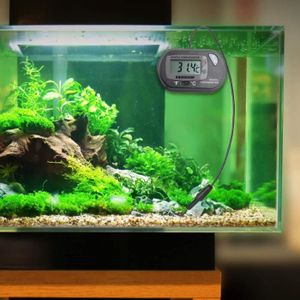 Thermomètre numérique LCD pour aquarium ENticerowts 1M blanc mesure la température de leau avec une sonde étanche facile à lire ABS