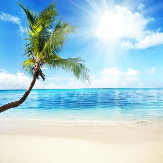 Get Wallpaper Stickers Muraux Deco Soleil Plage Ref 11100 Dimensions 140x140cm For Free