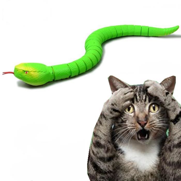 Jouet serpent pour chat télécommandé - avec batterie rechargeable intégrée, jouet Fun Cat