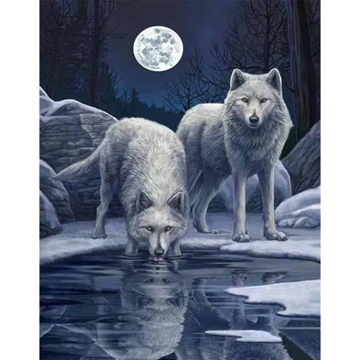 Diamond Painting Moto Bouledogue Lot De 4 30X40Cm Peinture Diamant