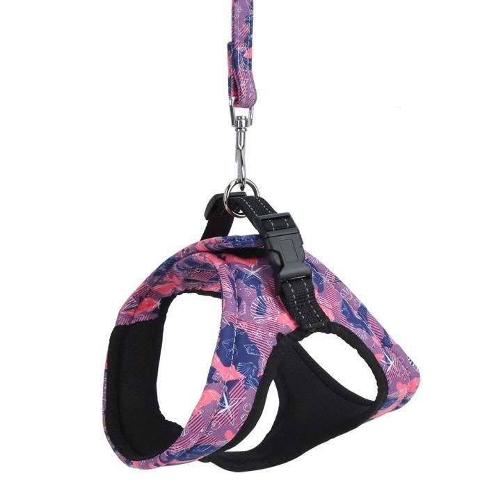 Licol Pour Cheval – Longe 2 M En PP, Avec Crochet, Corde épaisse, Résistante, Pour Grand Cheval, Entraînement Et Marche Sécurisée