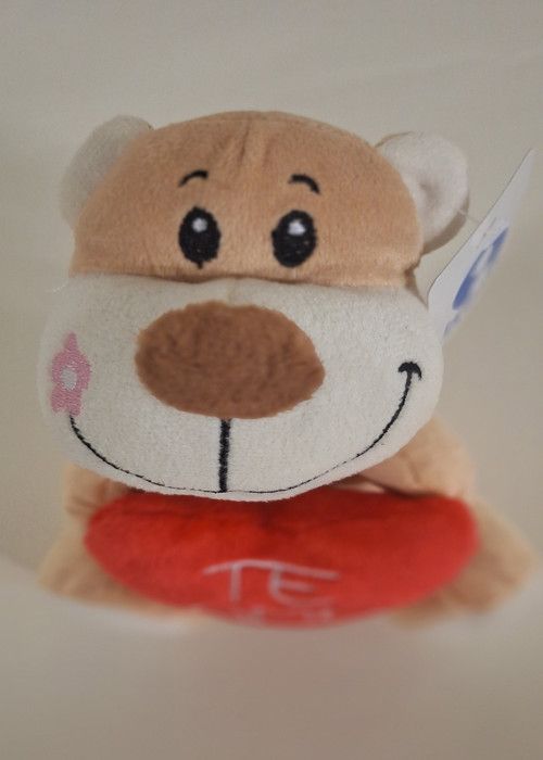 ours en peluche avec un coeur