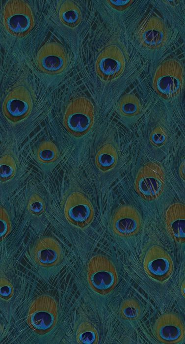 Papier peint panoramique plumes de paon bleu canard - 150 x 279 cm - 357245