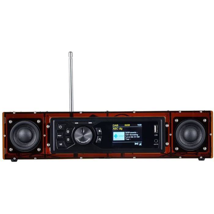 Kits Radio FMDab Do It Yourself (DIY) avec Coque en Acrylique