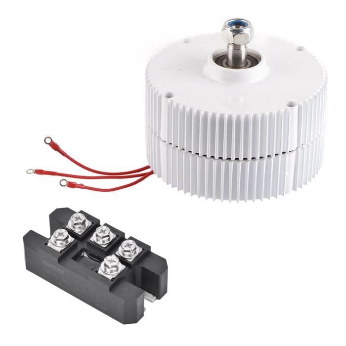 Moteur de générateur synchrone - 12 V 200 W - 1100 tr/min - Générateur à aimant permanent - Alternateur synchrone à 3 phases NE-200 pour la maison, l'industrie (générateur