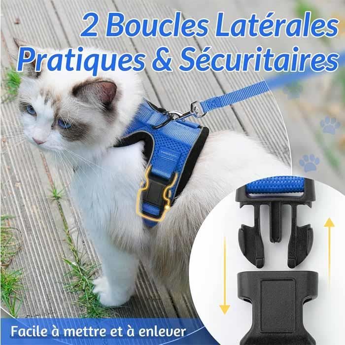 Comparer les prix de Harnais - FOLAYA - XS - Réglable - Bleu - Réfléchissant pour Chat et Petit Chien