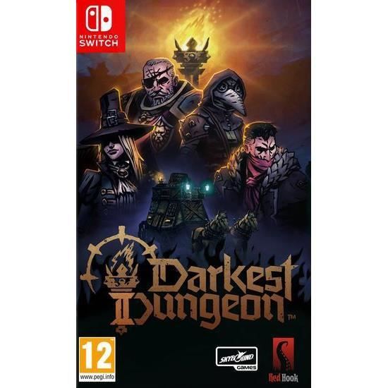 Jeu de rôle Darkest Dungeon Darkest Dungeon II Nintendo Switch PEGI 7+ Non compatible VR