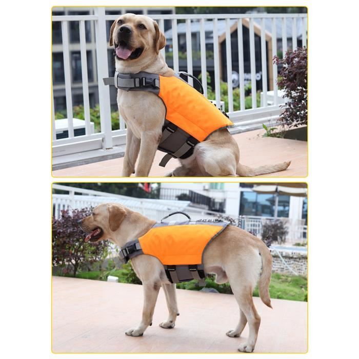 Meilleurs prix pour Gilet de sauvetage pour chien réglable VVIKIZY - orange - taille M