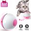 Cdiscount jouet pour chat clearance