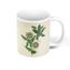 Mug Ceramique Passiflora Caerulea Planche Illustration Botanique Ancienne Fleur Exotique Cdiscount Puericulture Eveil Bebe
