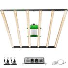 Lampe de culture LED Mars Hydro FC-E6500 730W pour culture hydroponique d'intérieur led grow light