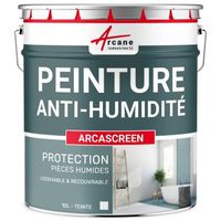 Peinture anti humidité anti moisissure salpêtre isolante ARCASCREEN   - 10L (jusqu a 40m²)