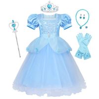 Déguisement Princesse Cendrillon AMZBARLEY pour Filles avec Accessoires Bleu 3-12 ans