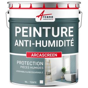 PEINTURE - VERNIS Peinture anti humidité anti moisissure salpêtre isolante ARCASCREEN   - 10L (jusqu a 40m²)
