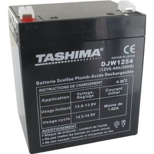 ALIMENTATION DE JARDIN Batterie motoculture TASHIMA 12V, 5,4A adaptable pour CASTELGARDEN, FLYMO et SABO