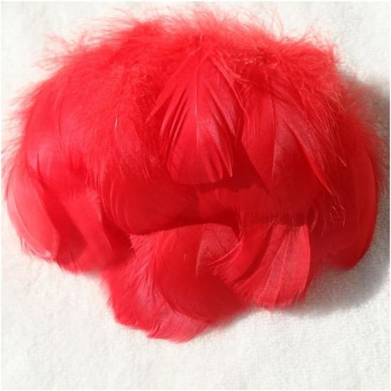 Lot De 100 Plumes Colorées Naturelles BigKego - Plumes D'Oie 15-20 Cm Pour Bricolage Et Décoration