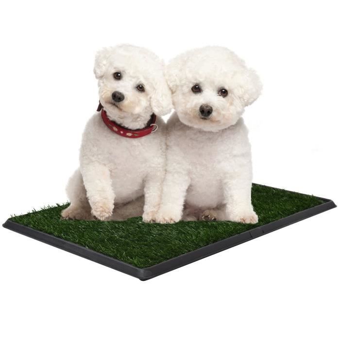 Toilettes pour Chien 51 x 76 CM Tapis d’Herbe pour Entraîneur Urinaire, Litière Intérieur pour Animaux