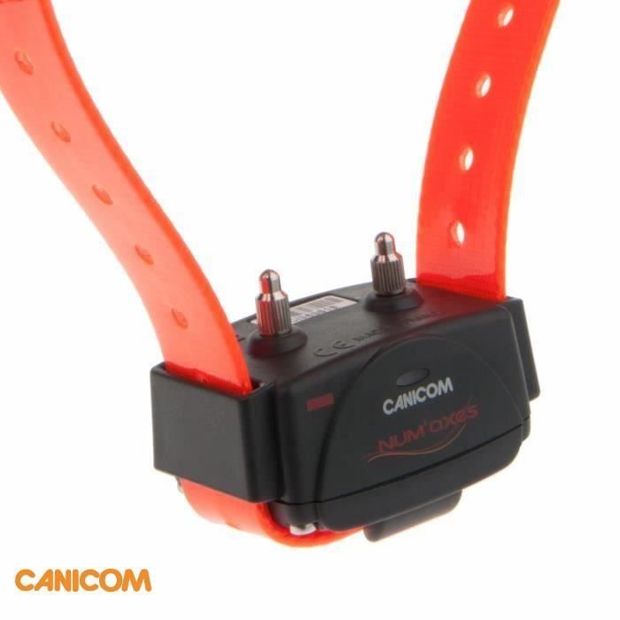 Meilleurs prix pour Collier de dressage chien CANICOM + sangle orange