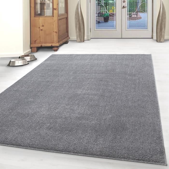 Tapis Monotone Pas Cher Tapis Gabbeh Optique Salon Gris Clair
