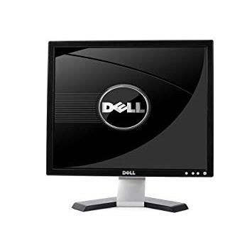 Dell E196fpf écran 19 Flat Panel Monitor