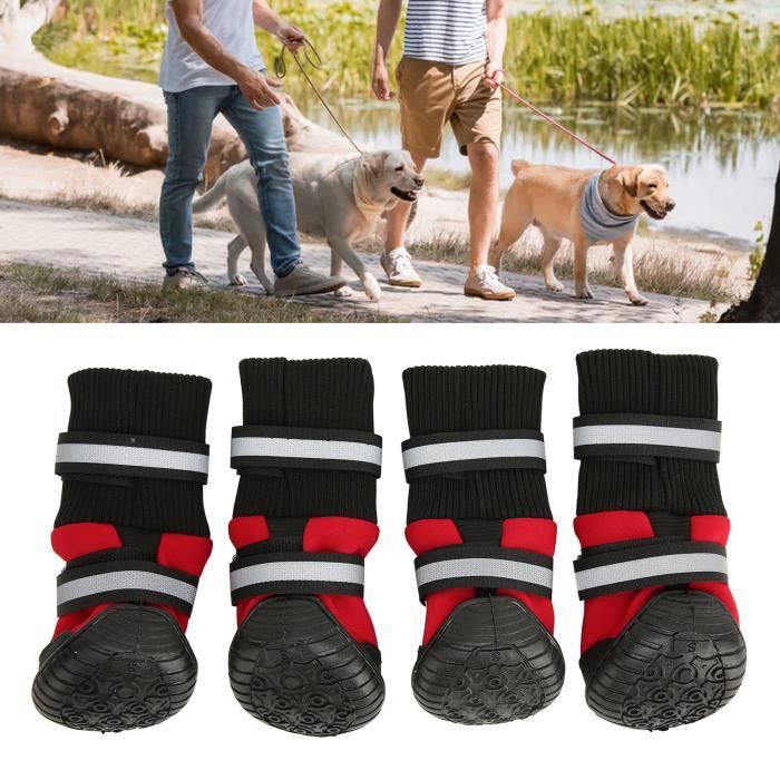 Chaussures chien imperm able sport protection chausson tanche
