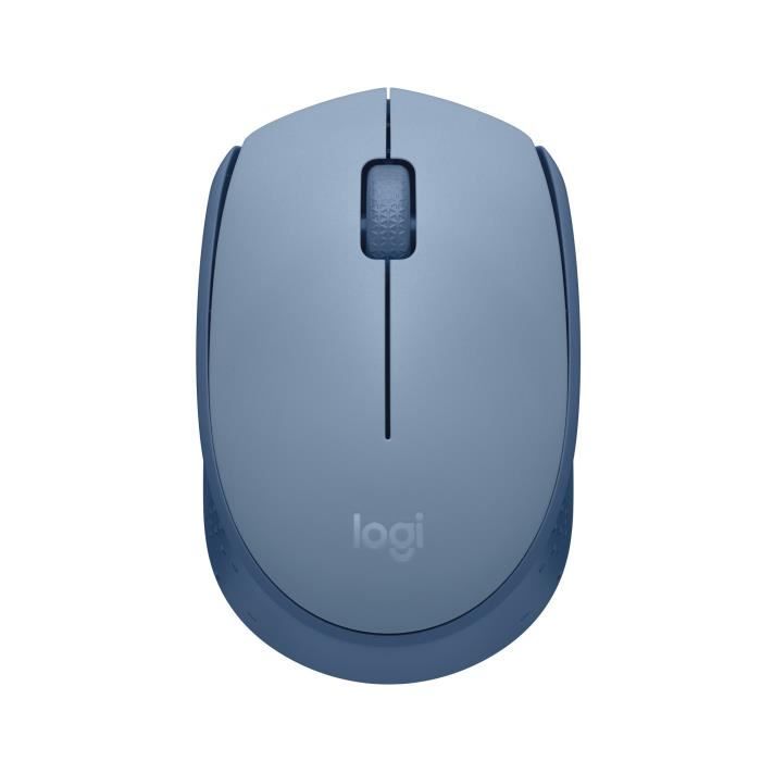 Souris Sans Fil - LOGITECH - M171 - 2,4 GHz avec Mini-récepteur USB - Suivi Optique - Ambidextre - Bleu Gris