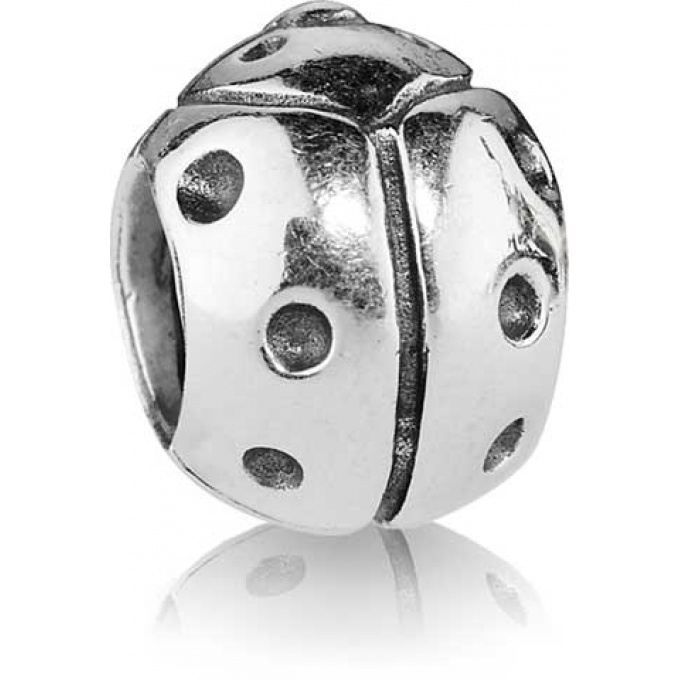 Coccinelle pandora