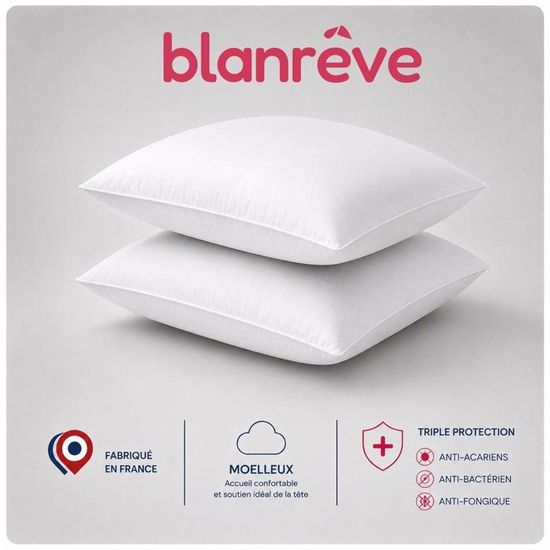 Lot De 2 Rembourrages De Coussin Eurasia - 30x50 Cm - Confort Durable, Lavable, Respirant