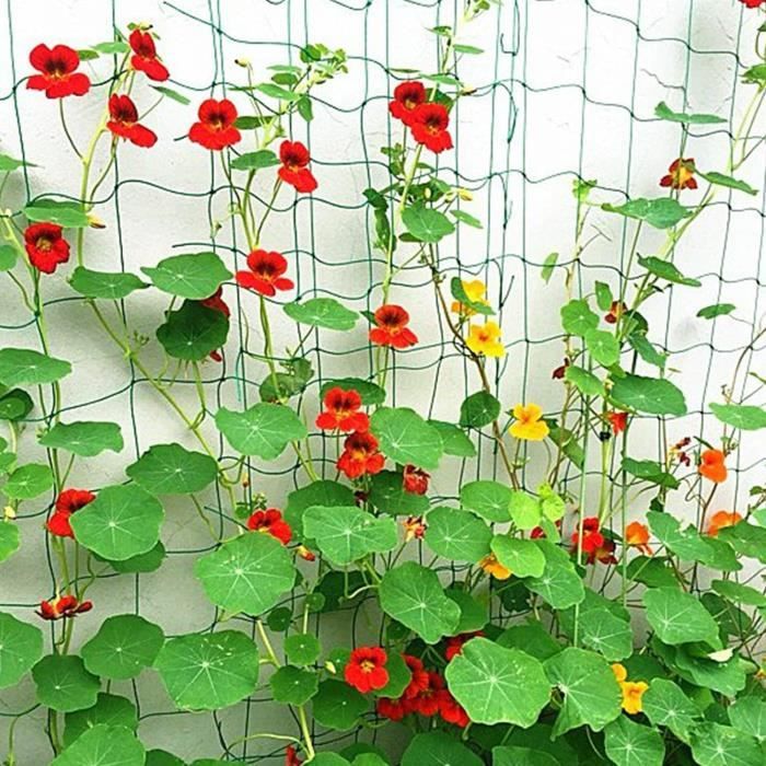 RASENWERK® - Filet pour Plantes Grimpantes 2x3,5m avec Grandes