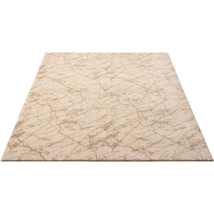 The carpet Relax Edition - Tapis Moelleux à Poils Ras - Dessous  antidérapant - Lavable à 30 °C - Super Doux, Aspect Fourrure [334] -  Cdiscount Maison