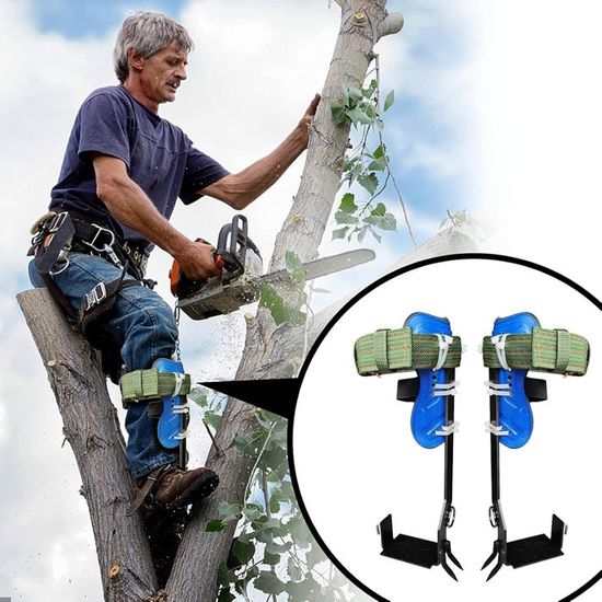 Kit Complet D'escalade D'arbre Avec Pics, Gants Et Sangles - Pour Arboristes, Chasse, Cueillette Ou Aventure En Forêt