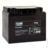 Batterie plomb AGM FG24204 12V 42Ah  - Batterie(s)