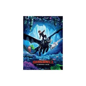 BLU-RAY FILM Dragons 3 : Le Monde Caché [Combo Blu-Ray, Blu-Ray