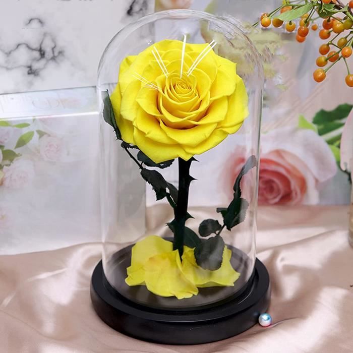 Fleurs Artificielles Rose Eternelle Cadeaux De Professeur De Anniversaire Fete Des Meres Anniversaire Action De Graces Noel Sa 1095 Cdiscount Maison Fleurs Artificielles Rose Eternelle Cadeaux De Professeur De Anniversaire Fete Des Meres Anniversaire Action De Graces Noel Sa 1095 Cdiscount Maison