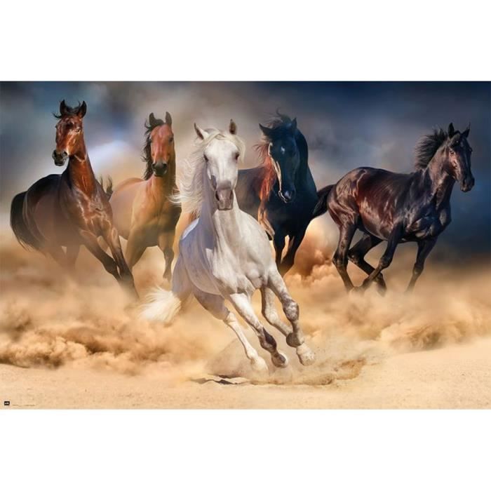 Poster Cheval Cdiscount