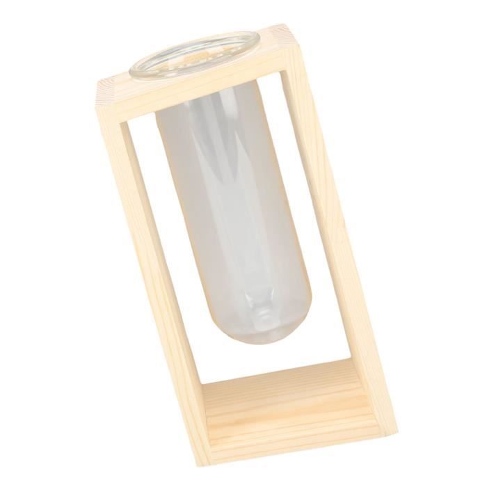 JNG terrariums de plantes en verre de bureau Terrarium de plante de