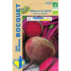 25 graines-Paquet économique Organic-Légumes-Betterave Bolivar 