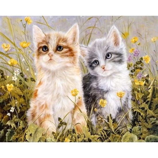 Kit Peinture Par Numéro Pour Adultes - Chat / Chaton - Activité Détente Et Décoration