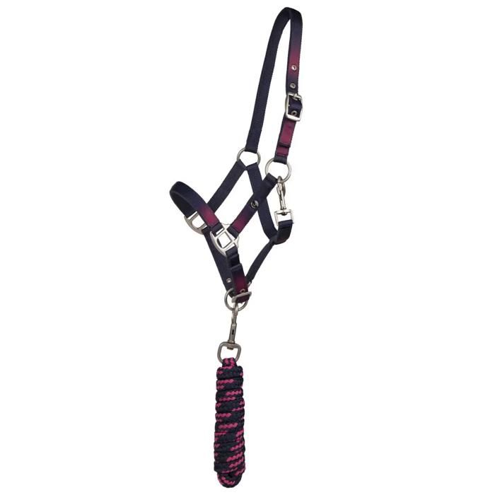 Duo licol et longe pour cheval QHP Jaily - ombre - Bleu - Shetland
