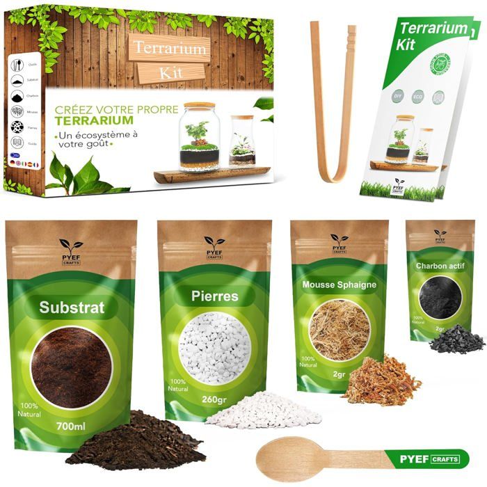 Kit de terrarium lumineux licorne pour enfants - Veilleuse LED - Cadeau